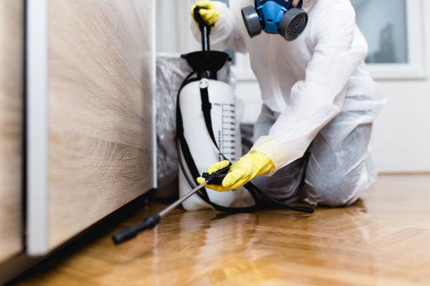 Best Affordable Pest Control Services  in Clifton Gardens, NY