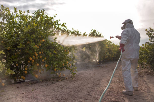 Best Mosquito Control Services  in Clifton Gardens, NY