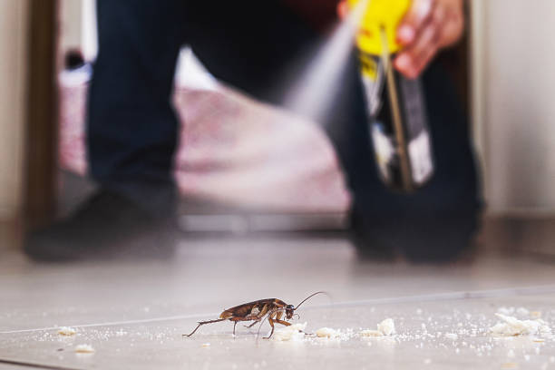 Best Exterminator Services  in Clifton Gardens, NY