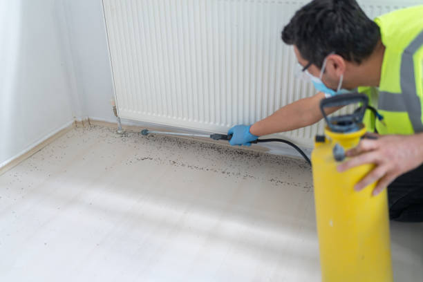 Best Pest Prevention Services  in Clifton Gardens, NY